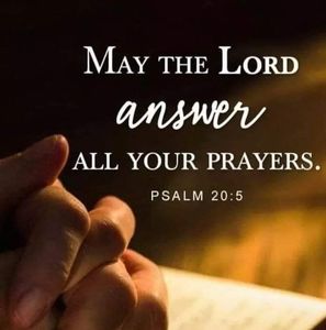 Meet your Posher, Barbara